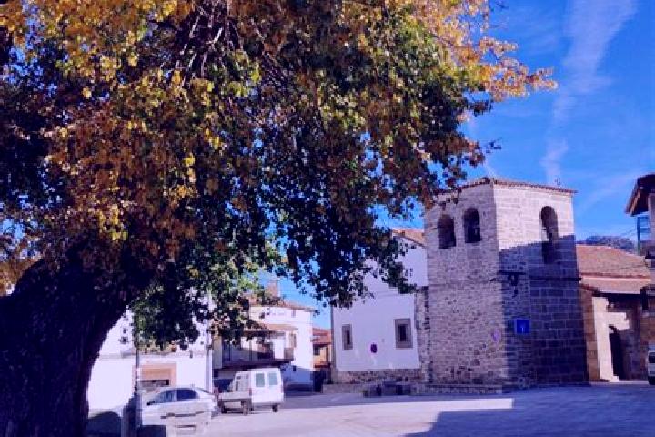 Harper, 25 — Escort in San Bartolome de Bejar, Spain