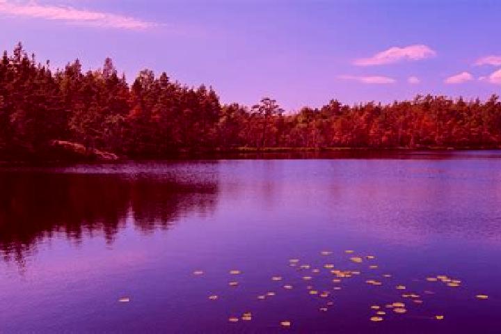 Harper, 25 — Escort in Sour Lake, United States