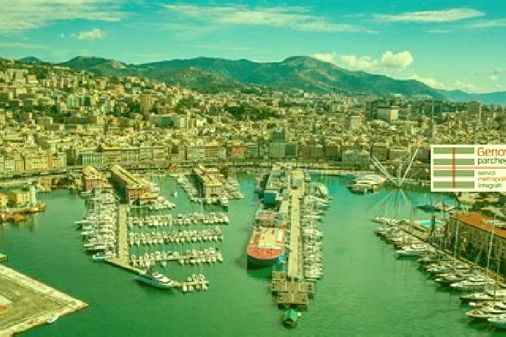 Harper, 25 — Escort in Tramutola, Italy