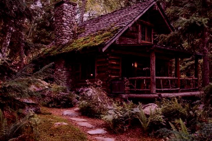 Harper, 25 — Escort in Woods Creek, United States