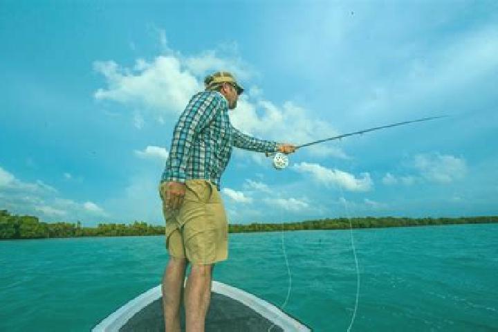 Harper, 26 — Escort in Los Tambos, Belize