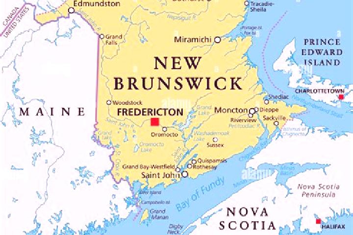 Harper, 26 — Escort in North Brunswick, United States