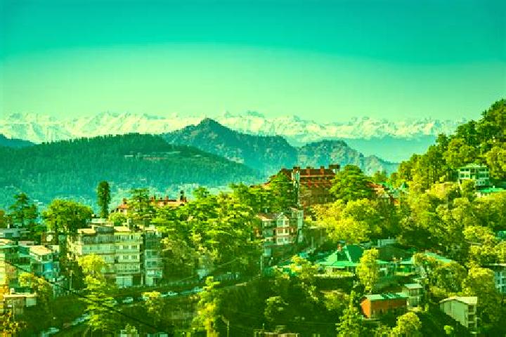 Harper, 26 — Escort in Pahasu, India