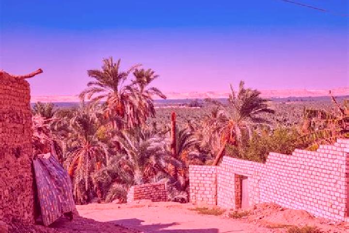 Harper, 27 — Escort in Al Bawiti, Egypt