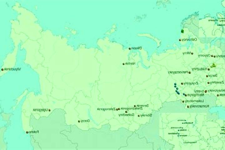 Harper, 27 — Escort in Cheremushskiy, Russia