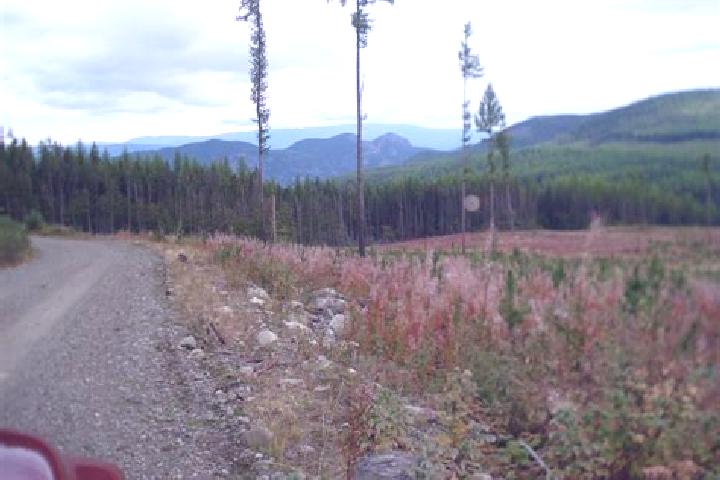 Harper, 27 — Escort in Lumby, Canada