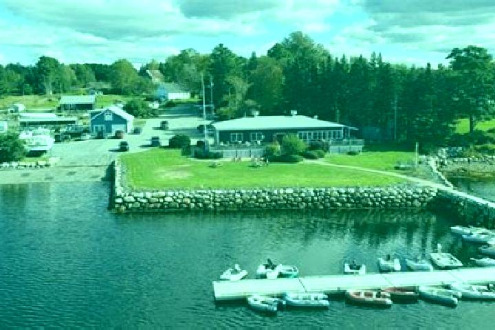 Harper, 27 — Escort in Lunenburg, United States