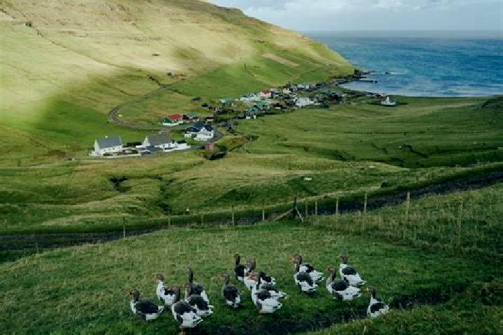 Harper, 27 — Escort in Saltangara, Faroe Islands