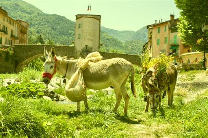 Harper, 27 — Escort in Sospel, France