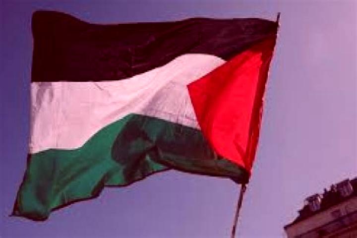 Harper, 28 — Escort in Az Zuwaydah, Palestine