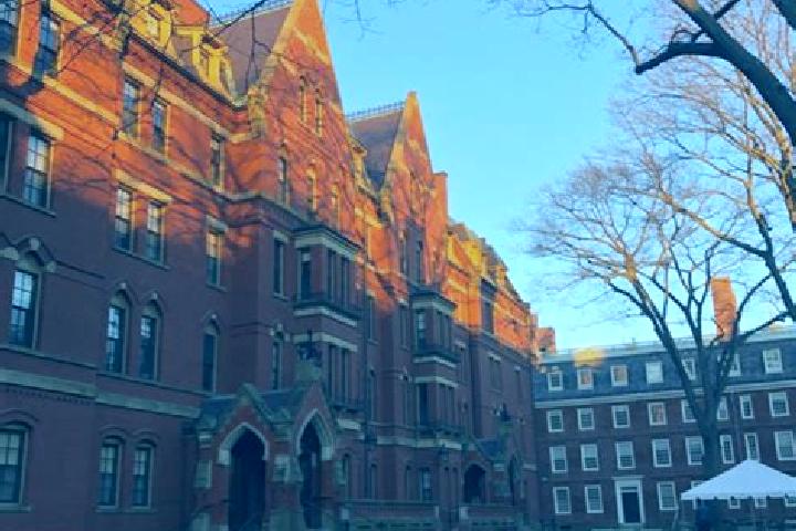 Harper, 28 — Escort in Harvard, United States