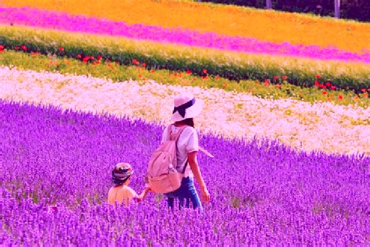Harper, 28 — Escort in Kami-furano, Japan