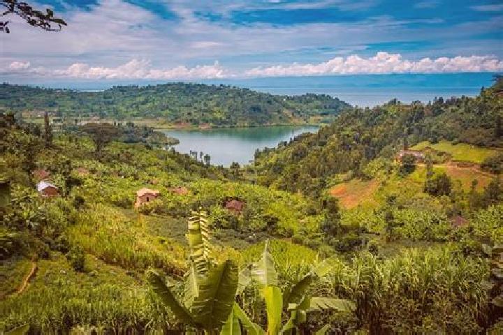 Harper, 28 — Escort in Kirimbi, Rwanda