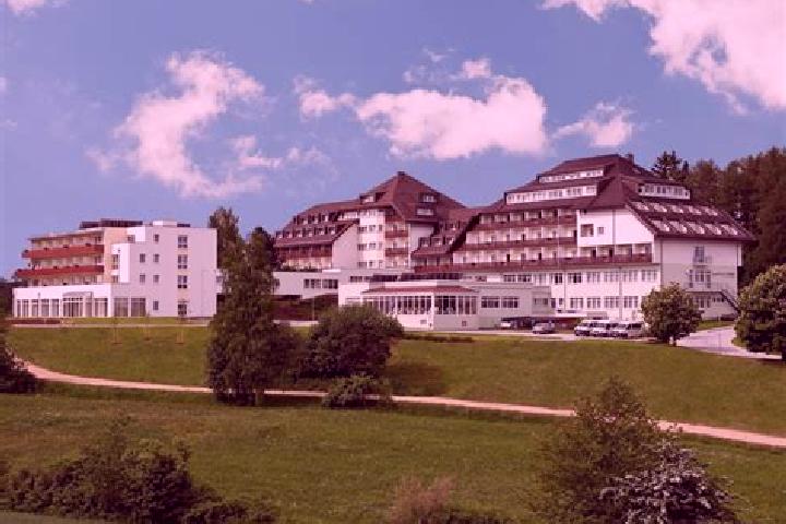 Harper, 28 — Escort in Laab im Walde, Austria