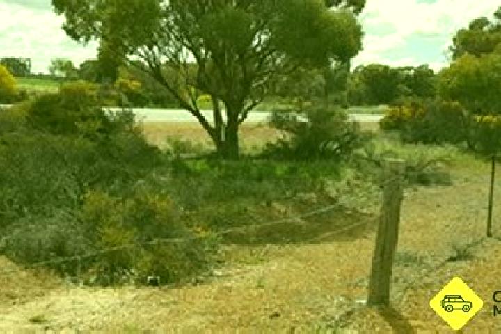 Harper, 28 — Escort in Merredin, Australia