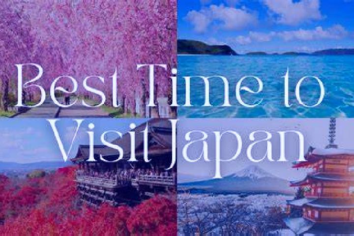 Harper, 28 — Escort in Tsuru, Japan