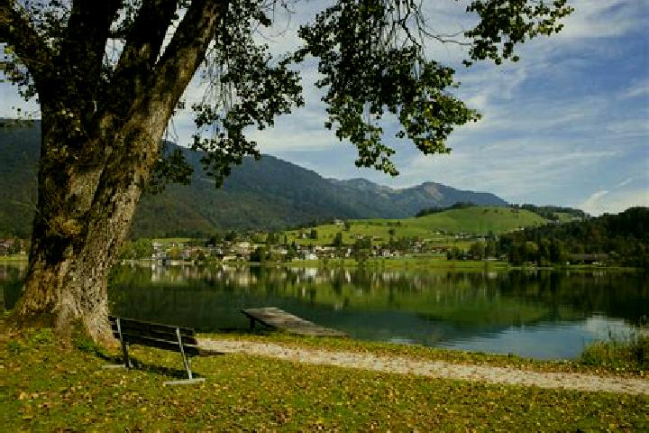 Harper, 28 — Escort in Vorderthiersee, Austria