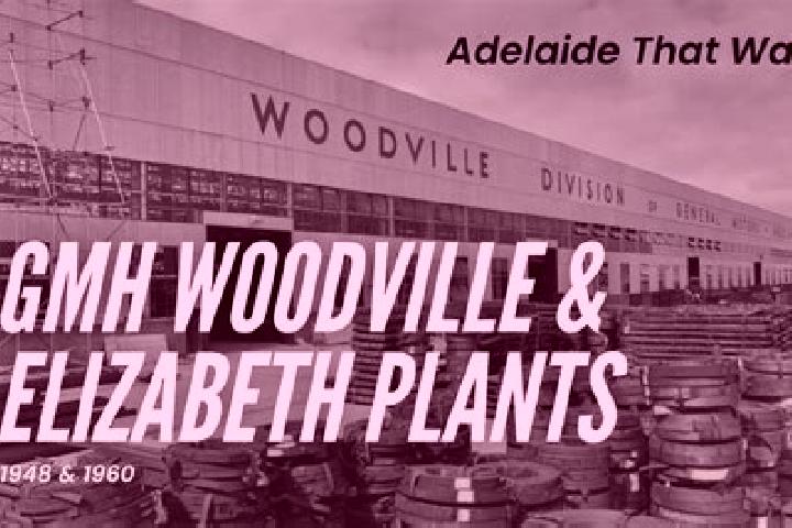 Harper, 28 — Escort in Woodville, Australia