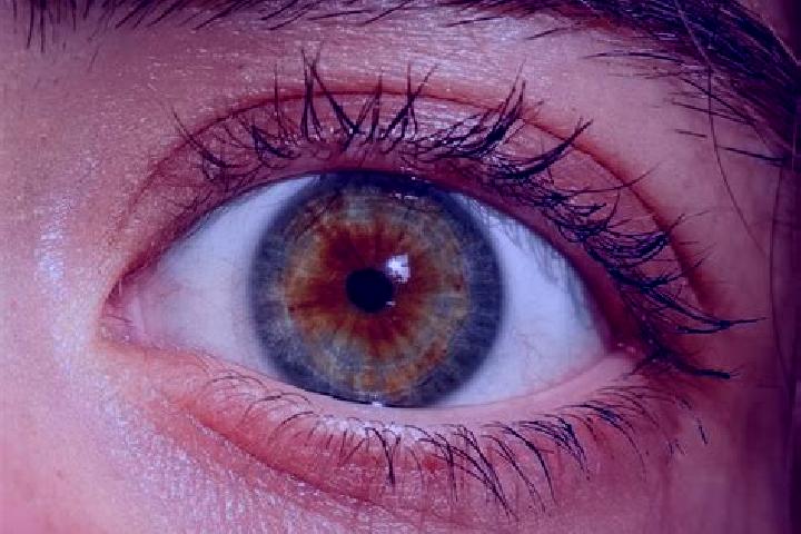 Harper, 29, a red hazel-eyed european companion based in Colstrip. Offering Couples, Prostate Massage, Fetish, CIM, Domination. Available for incall and outc...