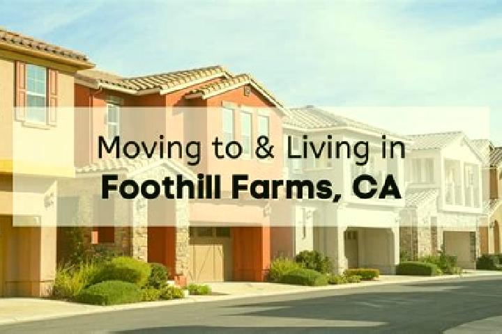 Harper, 29 — Escort in Foothill Farms, United States