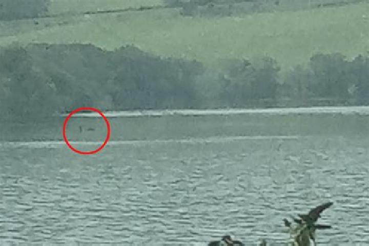 Harper, 29 — Escort in Loch, Australia