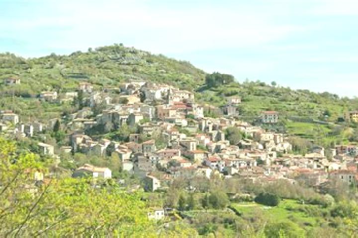 Harper, 29 — Escort in Montenero Val Cocchiara, Italy