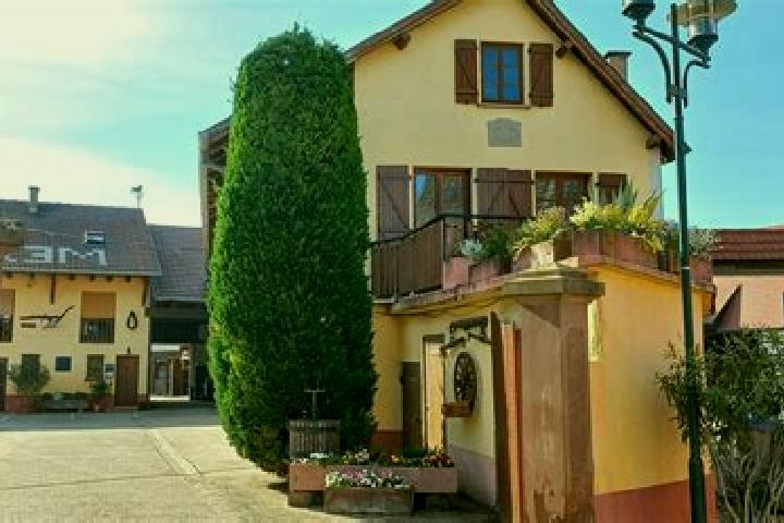 Harper, 29 — Escort in Oberschaeffolsheim, France
