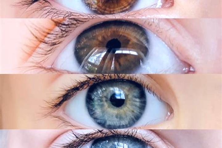 Harper, 30, a chestnut blue-eyed mixed companion based in Picioru Lupului. Offering Fetish, Domination, Couples. Available for incall and outcall, day and ev...