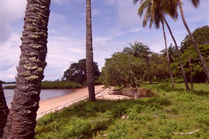 Harper, 30 — Escort in Bolama, Guinea-Bissau