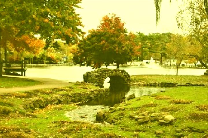 Harper, 30 — Escort in Garden City Park, United States