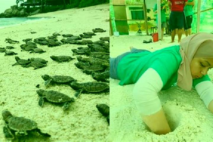 Harper, 30 — Escort in Kuala Penyu, Malaysia