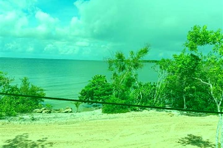Harper, 30 — Escort in Little Belize, Belize