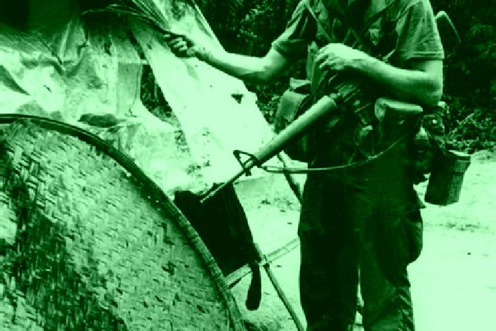 Harper, 30 — Escort in My Lai, Vietnam
