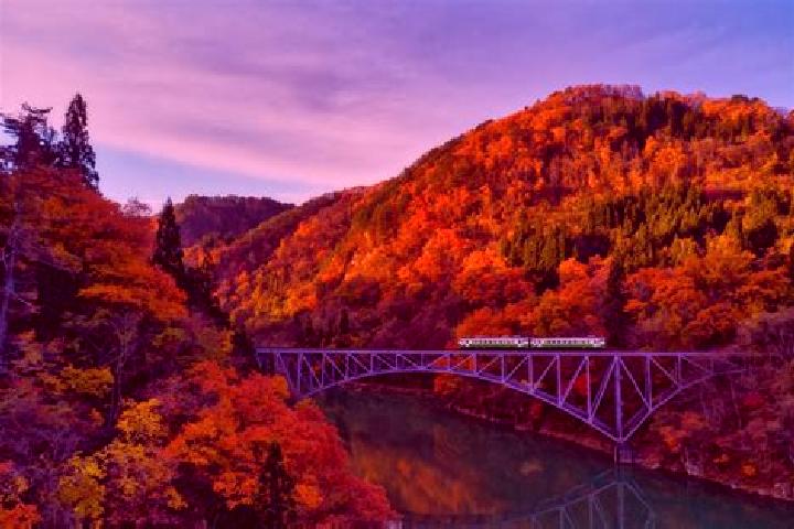 Harper, 30 — Escort in Tadami, Japan