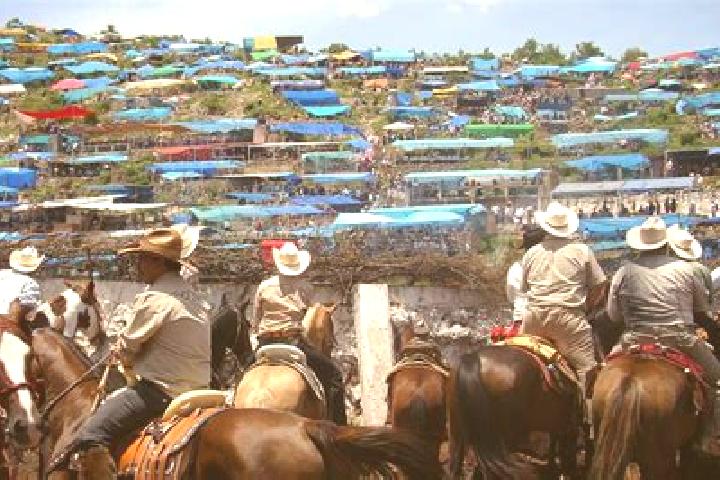 Harper, 31 — Escort in Ayotlan, Mexico