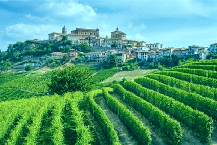 Harper, 31 — Escort in Belvedere Langhe, Italy