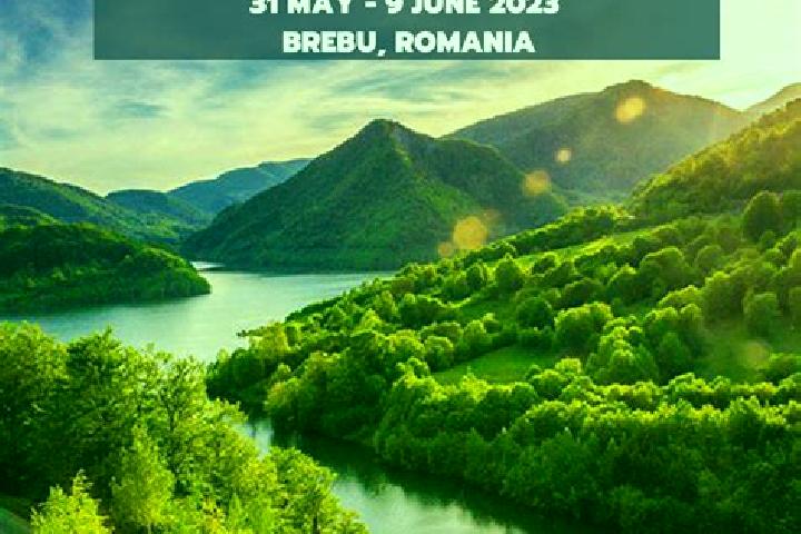 Harper, 31 — Escort in Brebu Megiesesc, Romania