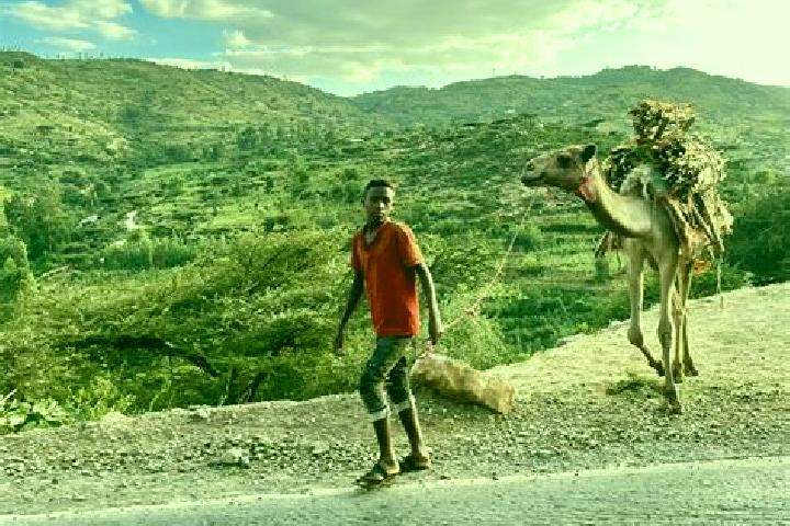 Harper, 31 — Escort in Dire Dawa, Ethiopia