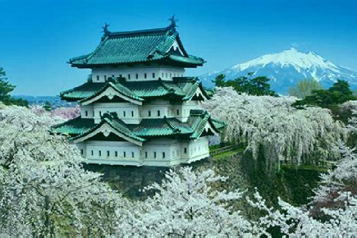 Harper, 31 — Escort in Hirosaki, Japan