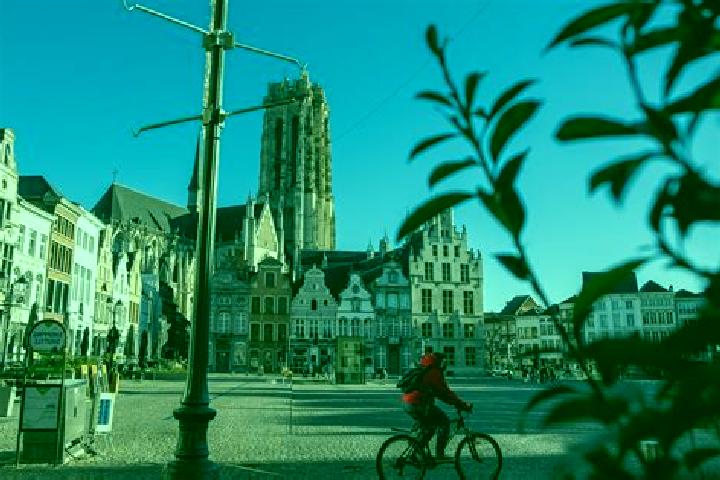 Harper, 31 — Escort in Mechelen, Netherlands