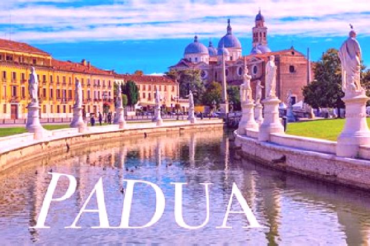 Harper, 31 — Escort in Terrassa Padovana, Italy