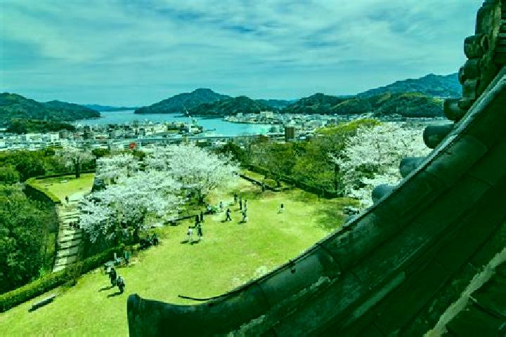 Harper, 31 — Escort in Uwajima, Japan