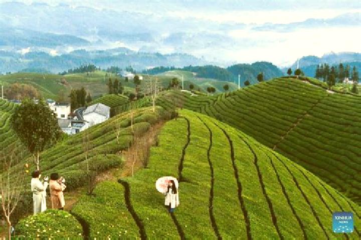 Harper, 31 — Escort in Zouma, China