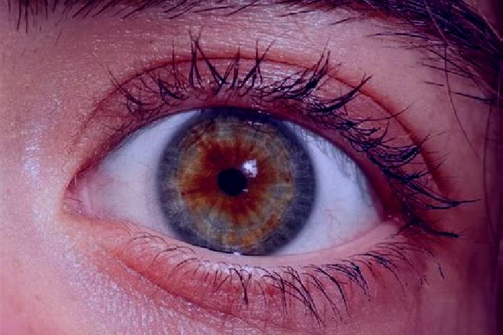 Harper, 32, a red hazel-eyed european companion based in Callac. Offering Domination, BDSM, Girlfriend Experience. Available for incall and outcall, day and ...