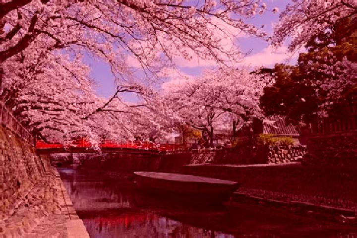 Harper, 32 — Escort in Ogaki, Japan