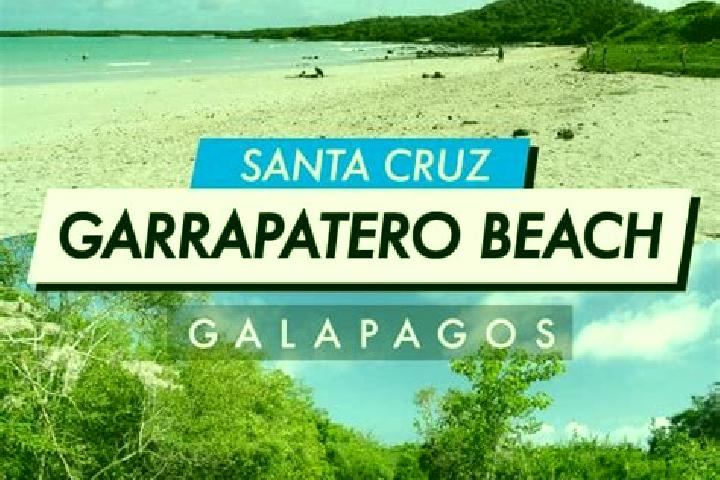 Harper, 32 — Escort in Santa Cruz Bamba y Garrapatero, Mexico