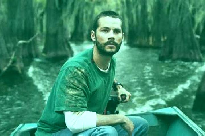 Harper, 33 — Escort in Caddo, United States