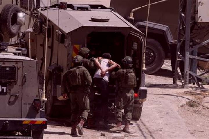 Harper, 33 — Escort in Dayr al Ghusun, Palestine