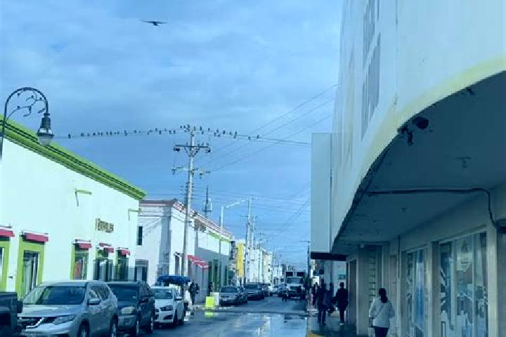 Harper, 33 — Escort in Linares, Mexico