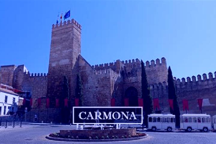 Harper, 33 — Escort in Loma de los Carmona, Mexico